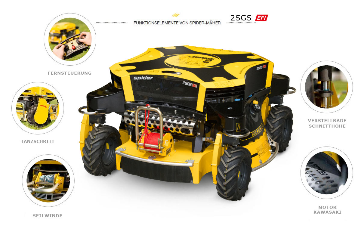 Spider 2SGS EFI Elemente